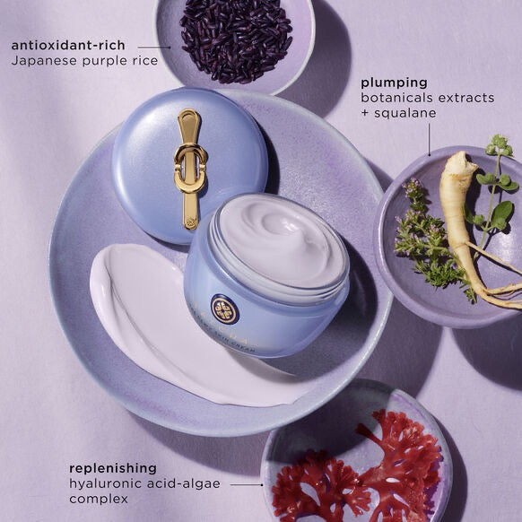 Tatcha The Dewy skin cream Soin hydratant repulpant riche